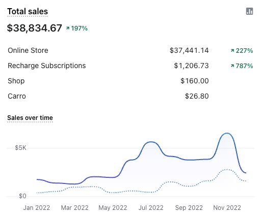 large increase in monthly revenue for shopify store.